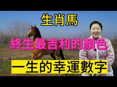 馬的幸運數字|屬馬人永久最幸運數字，最幸運顏色，建議常用